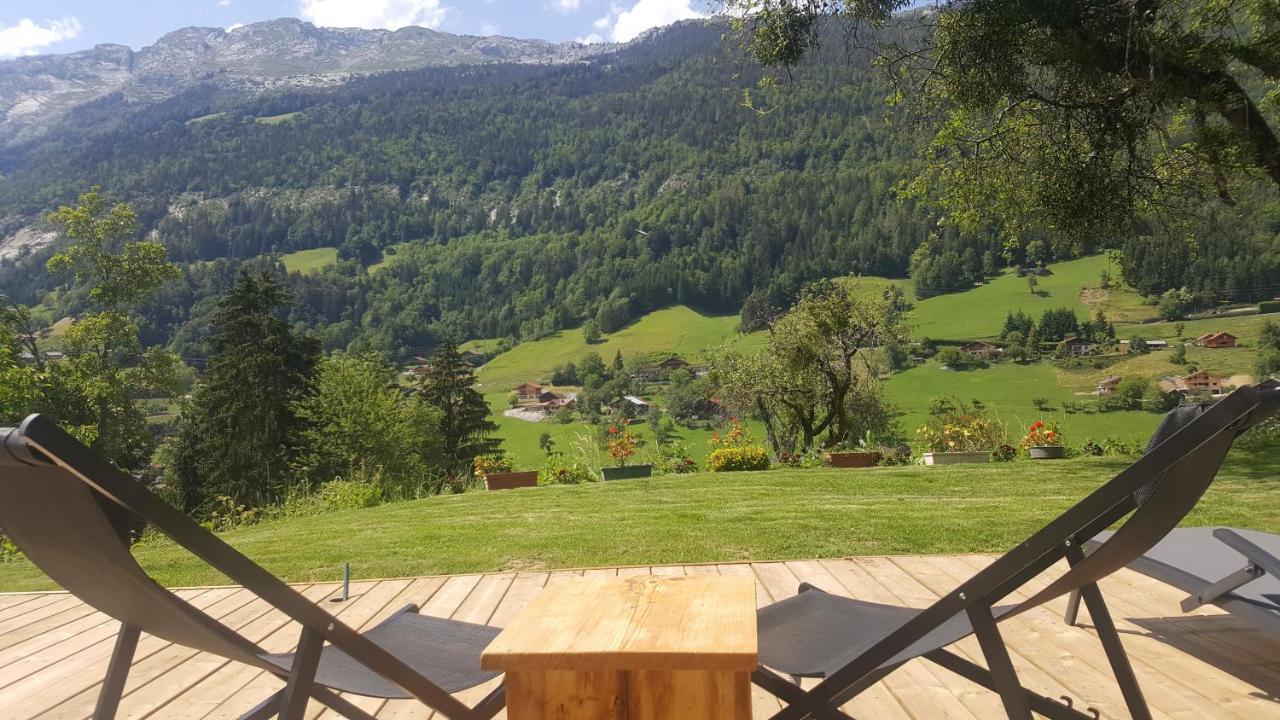 Les Picaillons - Le Chalet Les Villards-sur-Thônes Zewnętrze zdjęcie